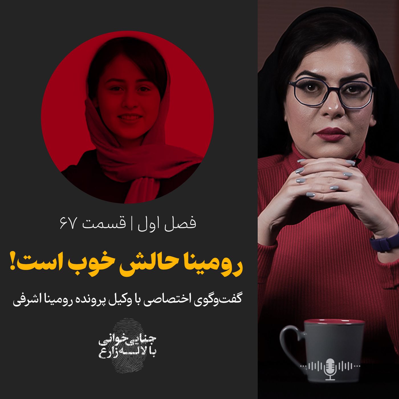 قسمت ۶۷ | رومینا حالش خوب است! | گفتوگوی اختصاصی با وکیل پرونده رومینا اشرفی