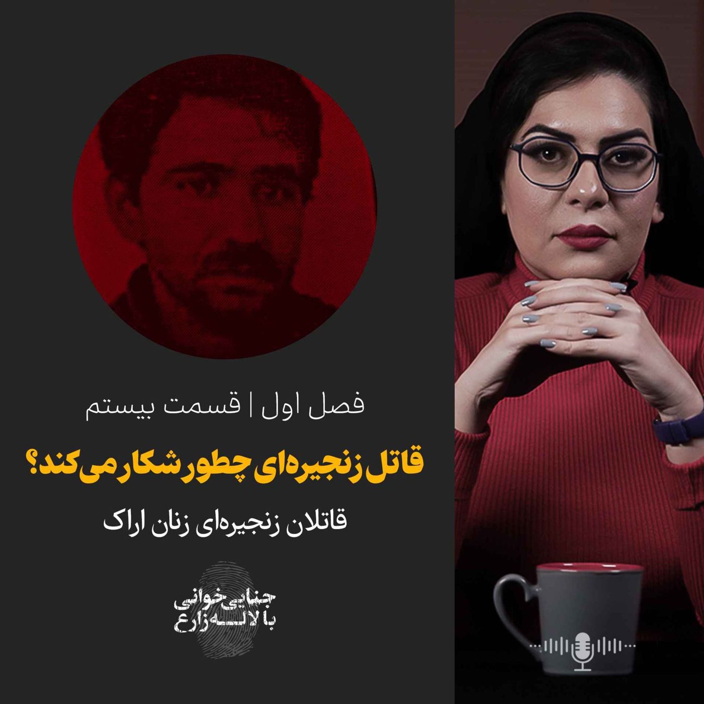 قسمت ۲۰ | قاتل زنجیرهای چطور شکار میکند؟
