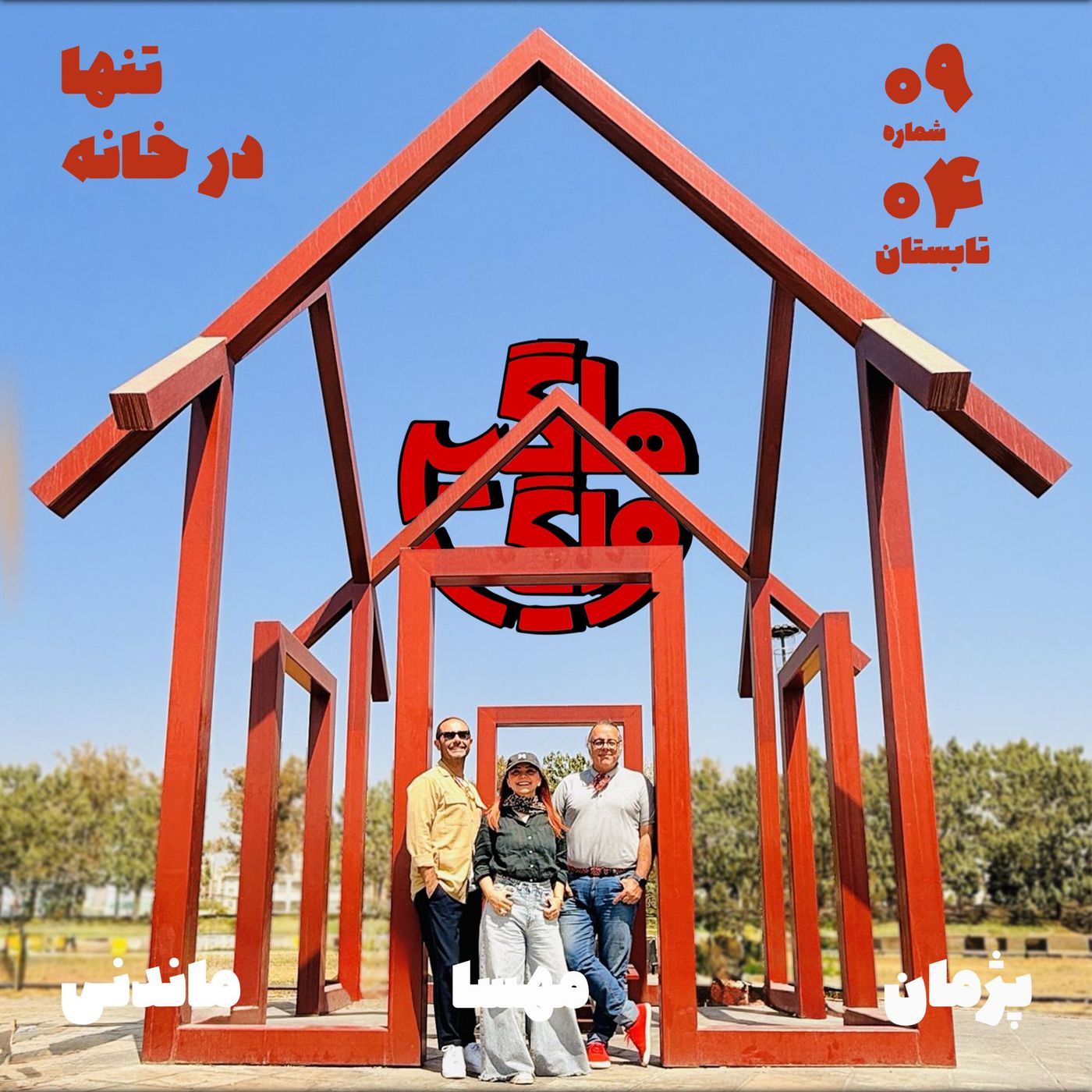 تنها در خانه episode artwork