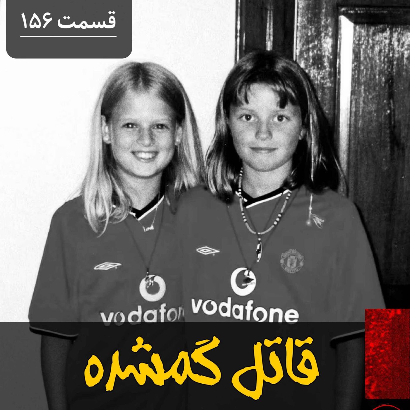 قاتل گمشده episode artwork