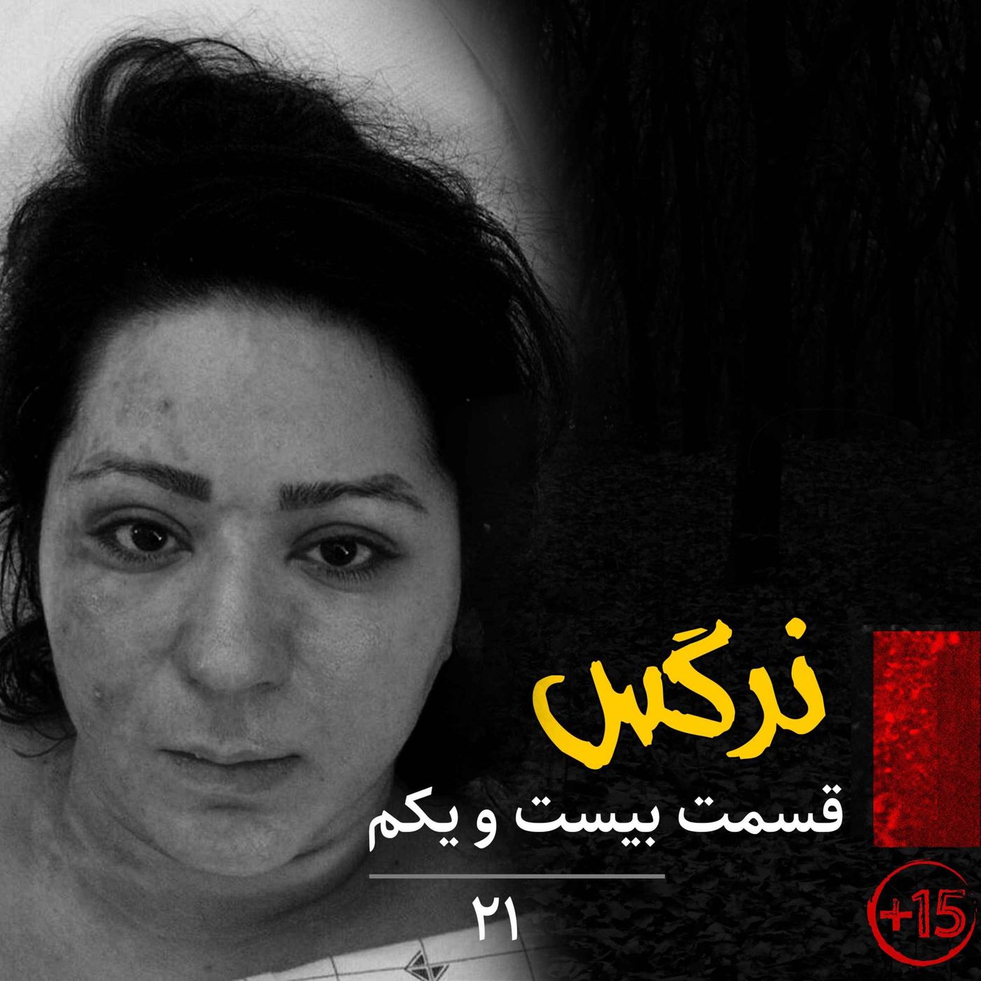 قسمت بیست و یکم: نرگس شفیعیراد